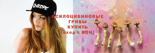 apvp Абаза