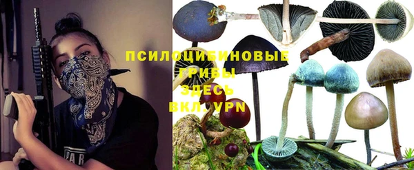 apvp Абаза